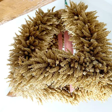 Dom wakacyjny Alte Wassermuehle - Schloss