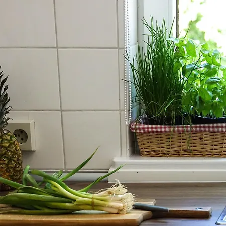 Alte Wassermuehle - Schloss * Gelting