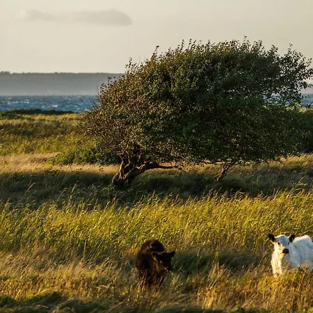 Alte Wassermuehle - Schloss Dom wakacyjny Gelting
